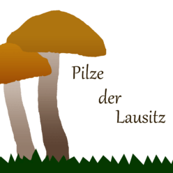 Logo Pilze